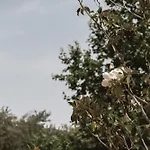 Kokkinochoma Slow Living Вилла Lagopodhon